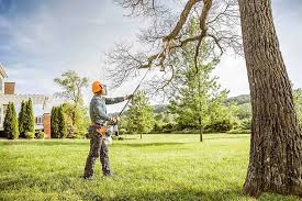 How Our Tree Care Process Works  in  Hartford, SD